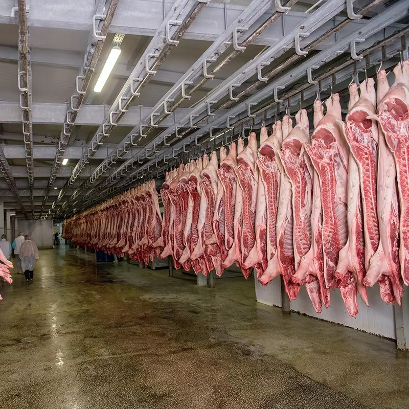 Cold Storage Room Slaughter Ho - Food Storage In Room reseña y precio