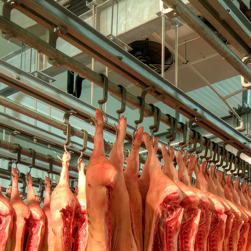 Cold Storage Room Slaughter Ho - Food Storage In Room reseña y precio