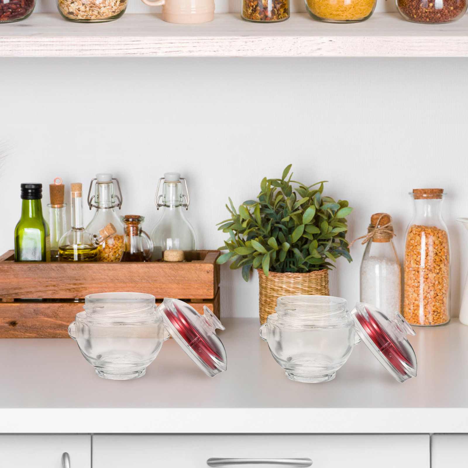 4Pcs Glass Cubilose Bottles Se - Food Storage Jars & Containers reseña y precio