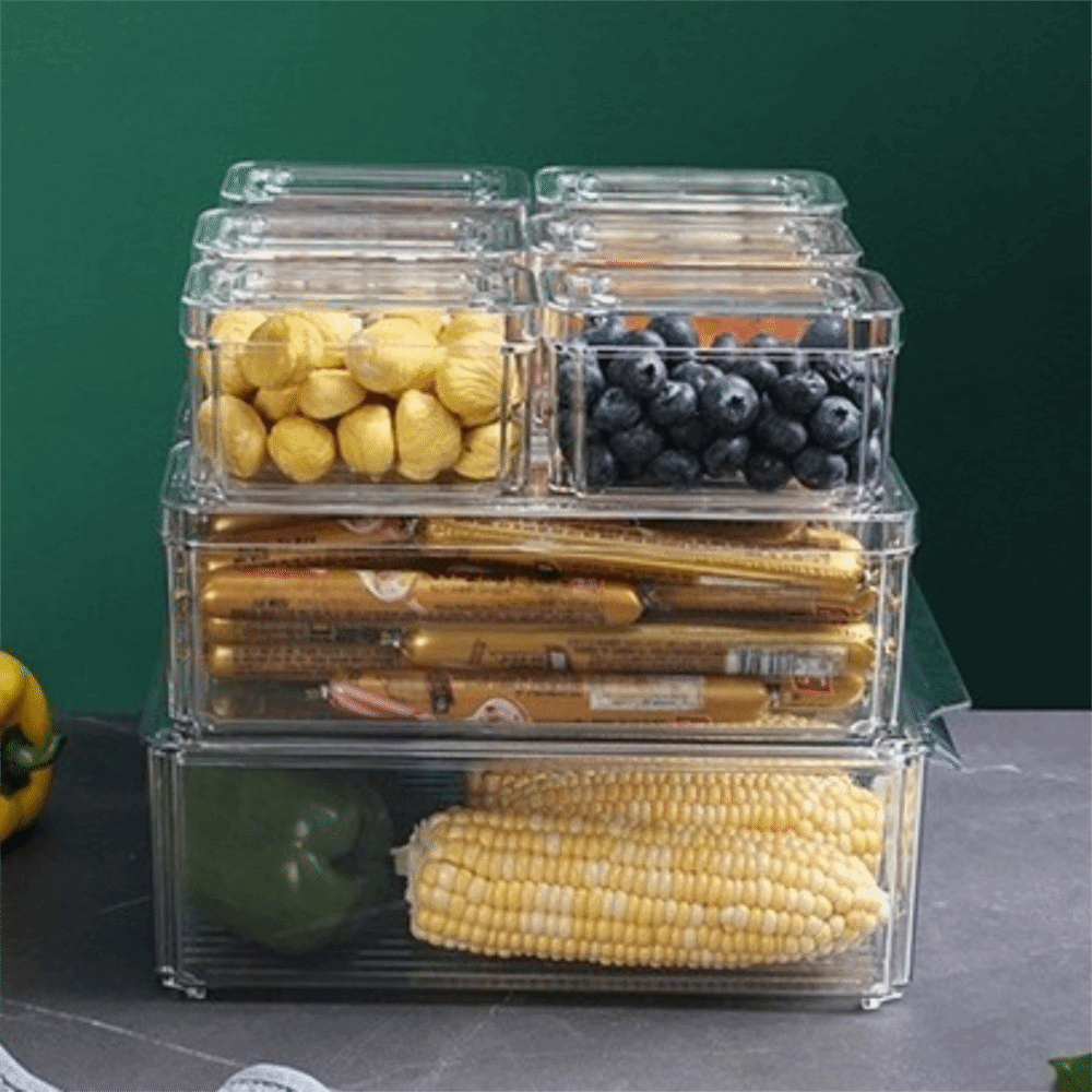 Practical Transparent Fridge O - Food Storage Practices reseña y precio