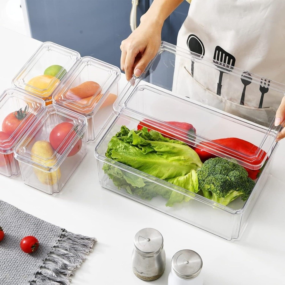 Practical Transparent Fridge O - Food Storage Practices reseña y precio