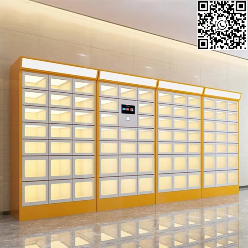 Custom Double Sided Locker Ele - Food Storage Locker reseña y precio