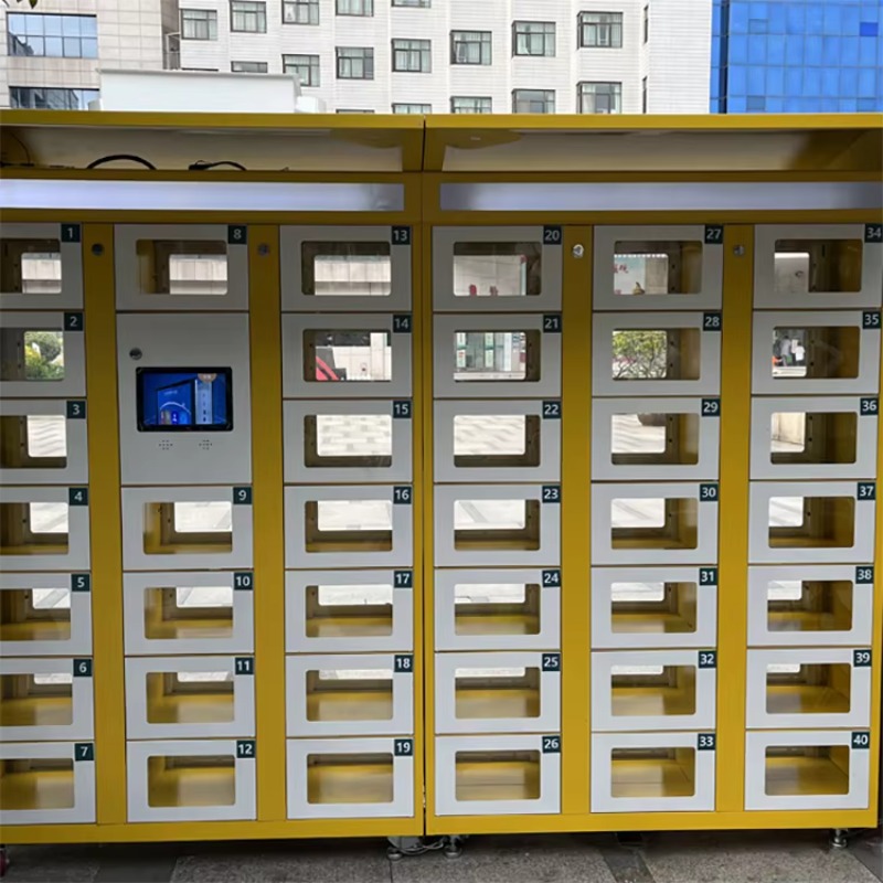 Custom Double Sided Locker Ele - Food Storage Locker reseña y precio