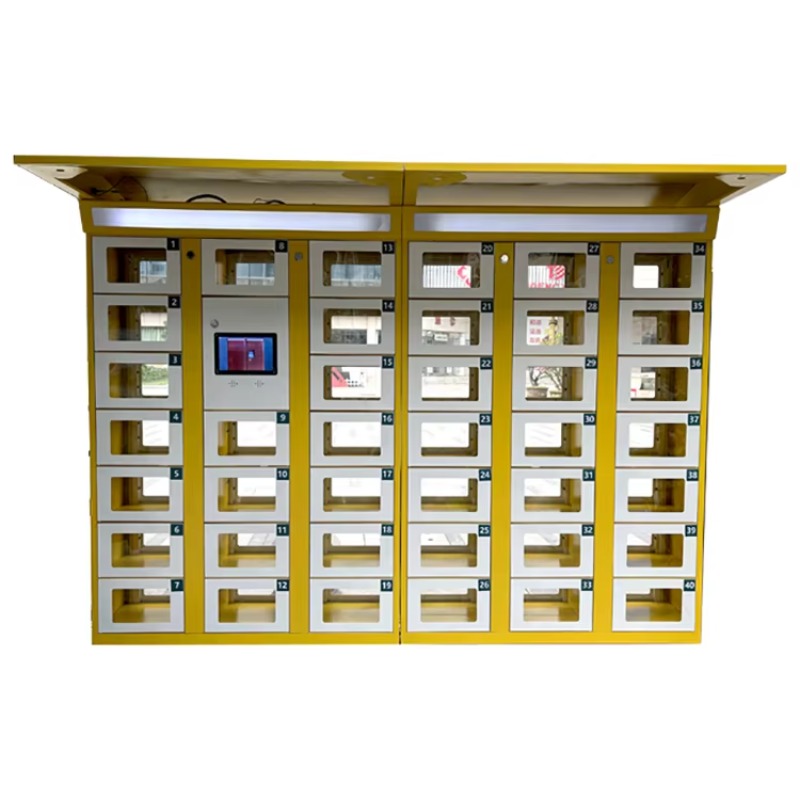 Custom Double Sided Locker Ele - Food Storage Locker reseña y precio