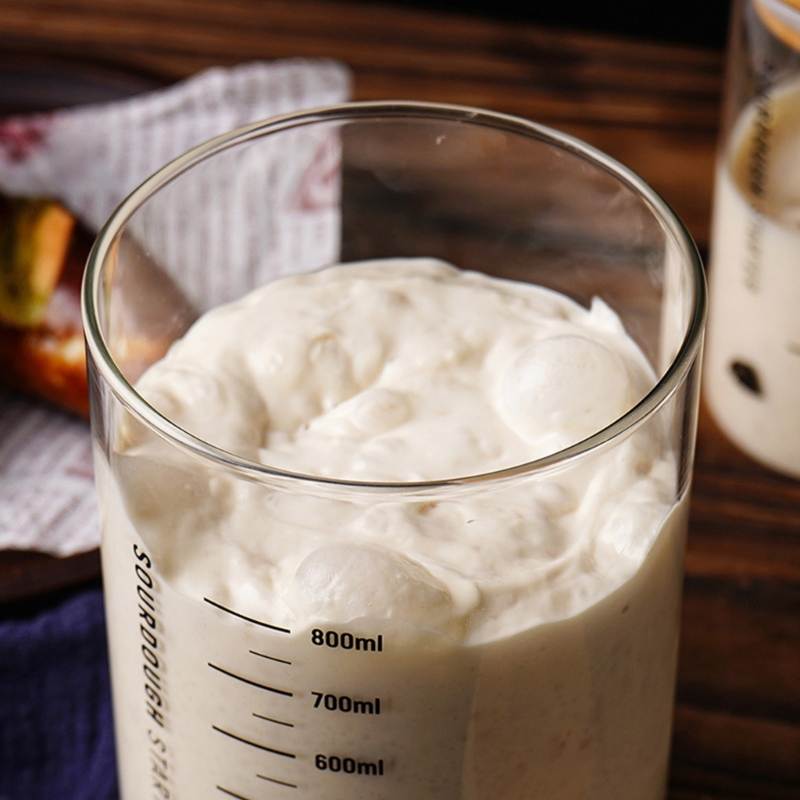 Sourdough Proofing Jar Kitchen - Food Storage Practices reseña y precio